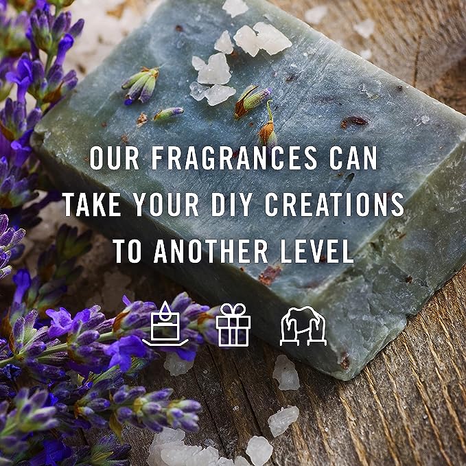 P&J Trading Polynesian Set of Fragrance Oil - Plumeria, Aloe, Pineapple, Bamboo, Gardenia, Coconut Candle Scents for Candle Making, Soap Making, Diffuser Oil Scents