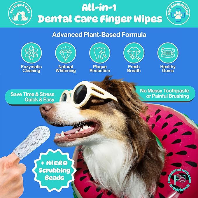 All-in-1 Dog Teeth Cleaning Wipes | Enzymatic Whitening + Micro Scrubbing Beads | Pet Dental Wipes & Finger Tooth Brushing Kit | Plant-Based Dental Care for Cats & Dogs (60 Count)