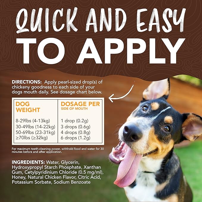 TropiClean Enticers Dog Teeth Cleaning Treat Gel | Honey Chicken Flavored Dog Toothpaste Alternative| 2 oz