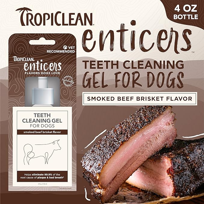 TropiClean Enticers Dog Teeth Cleaning Treat Gel | Smoked Beef Flavored Dog Toothpaste Alternative | 4 oz.