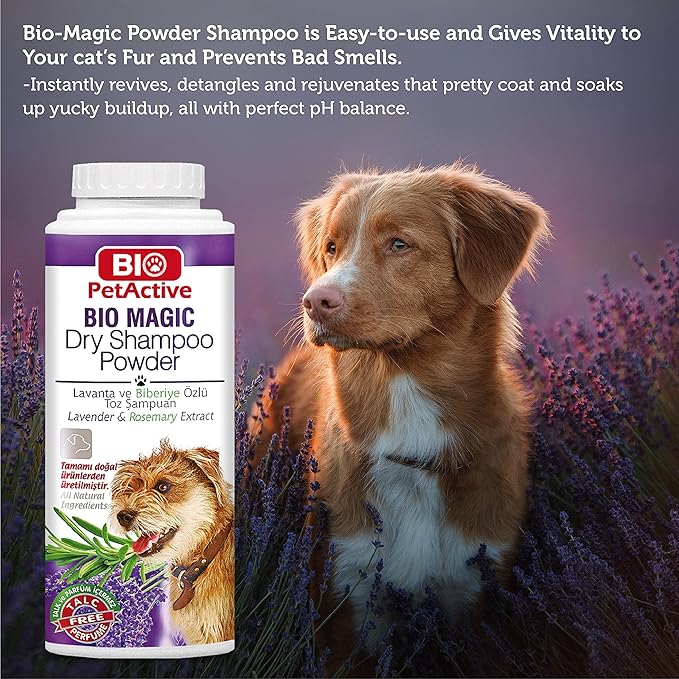 Bio Magic Dry Shampoo Powder with Lavender and Rosemary for Dogs | Cleansing and Moisturizing Perfume and Talc Free Suitable for Sensitive Skin - 5.29 oz