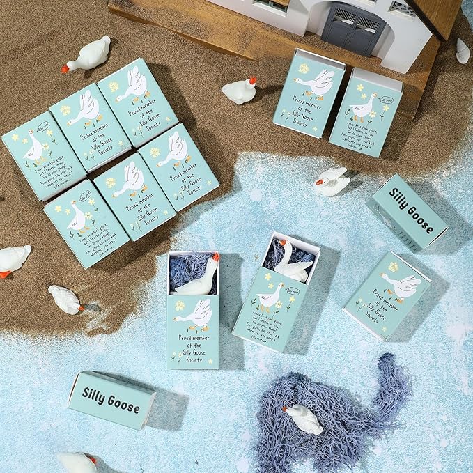 25 Set Employee Appreciation Gifts Bulk Coworkers Thank You Desk Pets Holiday Small Cute Emotional Support Resin Ornaments Card Box for Women Men Adults Office (Goose)