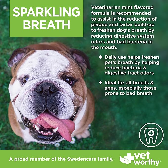 Vet Worthy Sparkling Breath Dog Mouthwash Water Additive - Dog Dental Care for a Healthy Mouth and a Fresh Breath for Dogs - Helps Reduce Plaque and Tartar - Mint Flavor (16 oz)