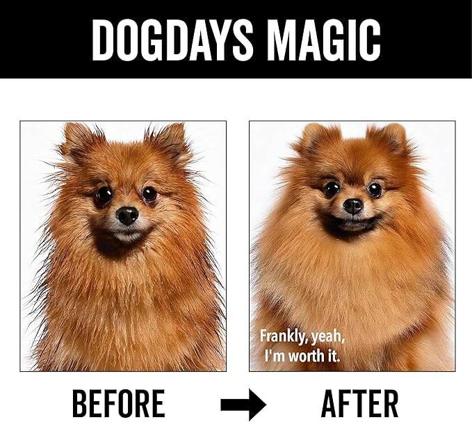 Pride and Groom DogDays Nourishing Dog Conditioner | Tearless, Hypoallergenic Formula for Allergies, Itching & Dry Skin | Natural Detangler for Dogs | Extends Life of Dog Groom | 16 oz