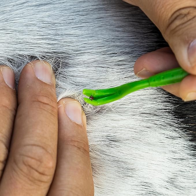 TickCheck Tick Remover Value 3 Pack - Tick Remover Tools + Tick Identification Card - for Humans, Dogs & Cats (70)