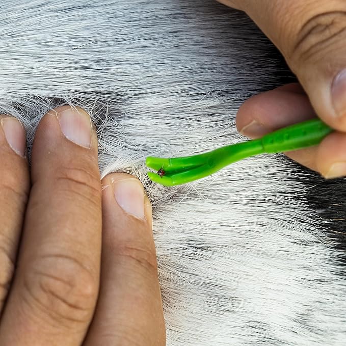 TickCheck Tick Remover Value 3 Pack - Tick Remover Tools + Tick Identification Card - for Humans, Dogs & Cats (1 Set)