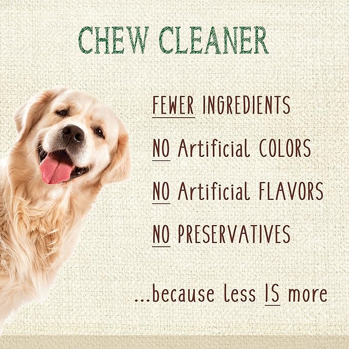 Nylabone Nutri Dent Dog Dental Chews - Natural Dog Teeth Cleaning & Breath Freshener - Dental Treats for Dogs - Filet Mignon Flavor, X-Large (1 Count) (Pack of 2)