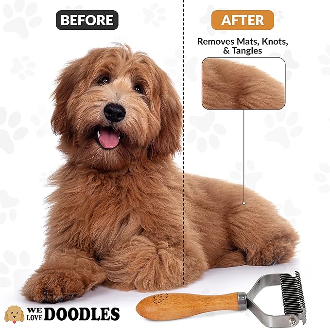 We Love Doodles Premium 3-in-1 Sensitive Skin Dog Shampoo & Pet Dematting Comb - for Allergies, Itching, Scratching, Anti-Itch with Oatmeal & Aloe, Undercoat Rake for Detangling Thinning & Shedding