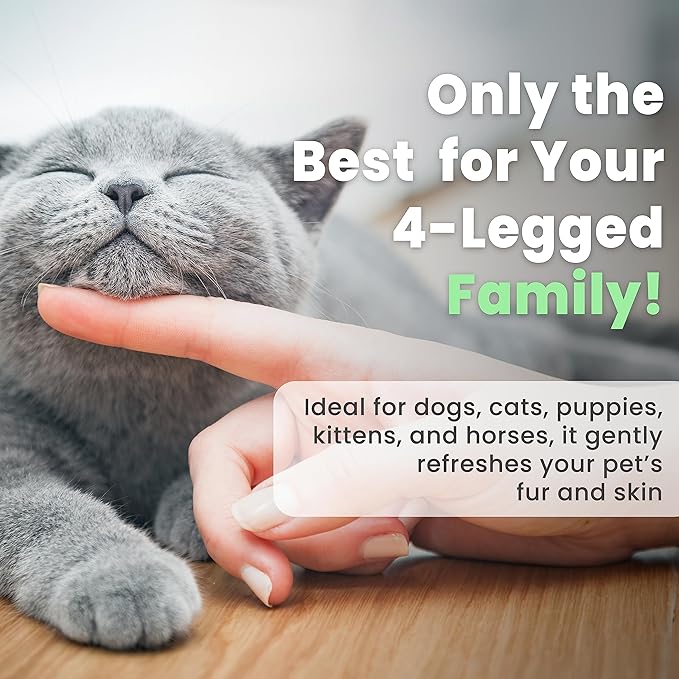 Best Shot Scentament Spa Botanical Body Splash, Body Spray for Pets, Cat and Dog Cologne Spray, Lavender Aloe, 8 Oz.