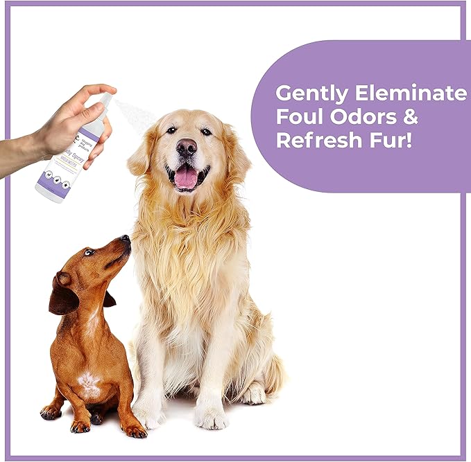 Dogs deodorizing spray - long-lasting dog cologne & pet odor eliminator - vanilla sweet pea scented pet perfume for smelly doggies - safe, refreshing grooming spray