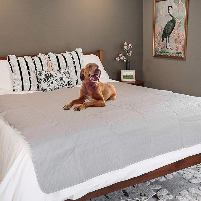 rocket & rex Premium XXL Non-Slip Washable Pee Pad for Dogs, Waterproof & Reusable Puppy Pad for Potty Training, Whelping, Travel, Lining Playpens & More, 72" x 72" (Pack of 1)