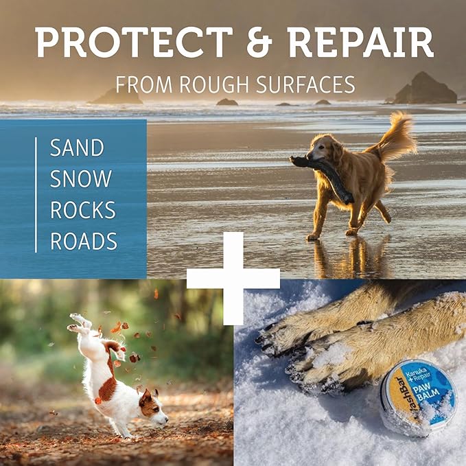 WashBar Dog Paw Balm for Cracked Paws | Natural Lick-Safe Paw Soother for Dog Paws, Nose and Skin | 1.7 oz Tin, Dog Paw Cream to Moisturize, Protect and Repair from Foot to Snout