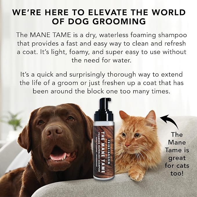 Pride and Groom The Mane Tame Dog Dry Shampoo – Waterless Foam for Dogs and Cats Made in USA for a Rinse Free Cleanse and to Eliminate Odor in Between Baths On-The-Go – 7.1 fl oz