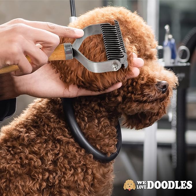 We Love Doodles Premium 3-in-1 Sensitive Skin Dog Shampoo & Pet Dematting Comb - for Allergies, Itching, Scratching, Anti-Itch with Oatmeal & Aloe, Undercoat Rake for Detangling Thinning & Shedding