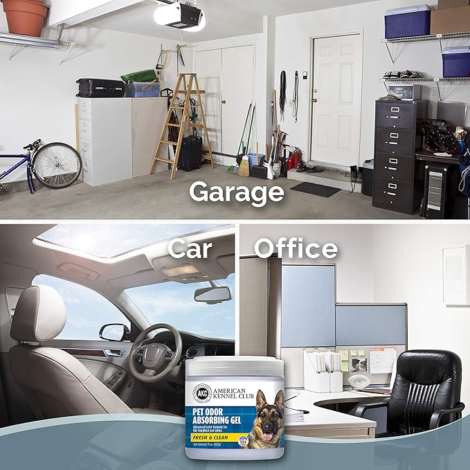 SMELLS BEGONE Pet Odor Absorber Gel - Air Freshener & Odor Eliminator - Made with Essential Oils - Fresh & Clean Scent - 15 Ounce