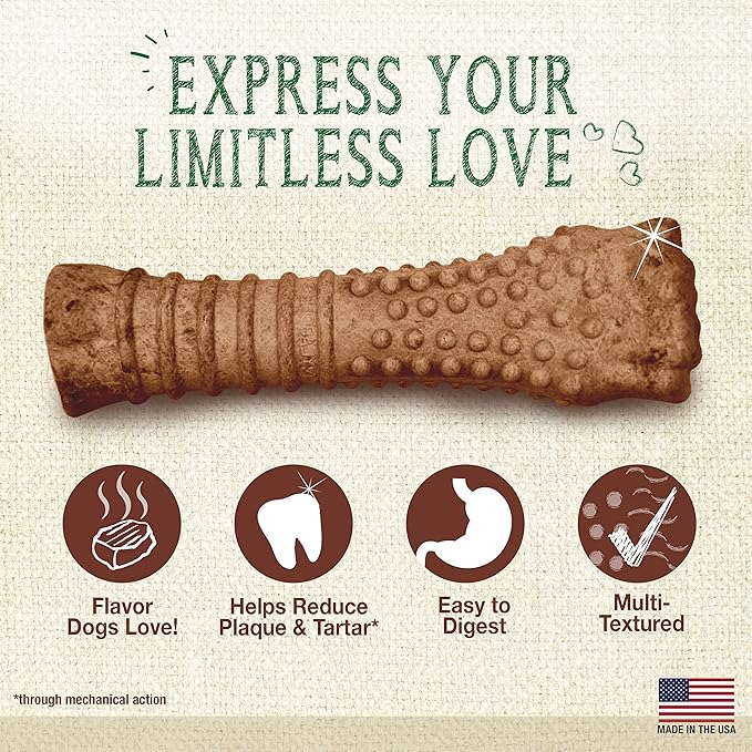 Nylabone Nutri Dent Dog Dental Chews - Natural Dog Teeth Cleaning & Breath Freshener - Dental Treats for Dogs - Filet Mignon Flavor, X-Large (1 Count) (Pack of 2)