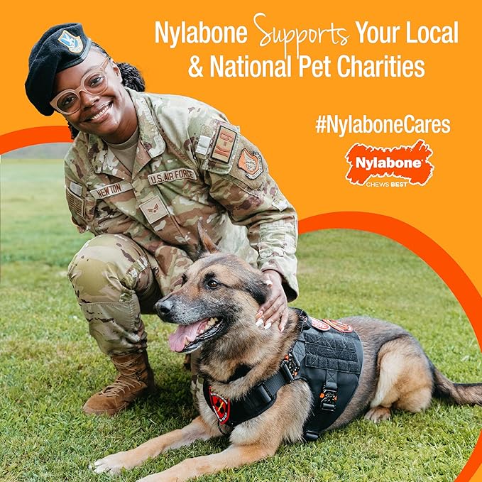 Nylabone Nutri Dent Dog Dental Chews - Natural Dog Teeth Cleaning & Breath Freshener - Dental Treats for Dogs - Filet Mignon Flavor, X-Large (1 Count) (Pack of 2)