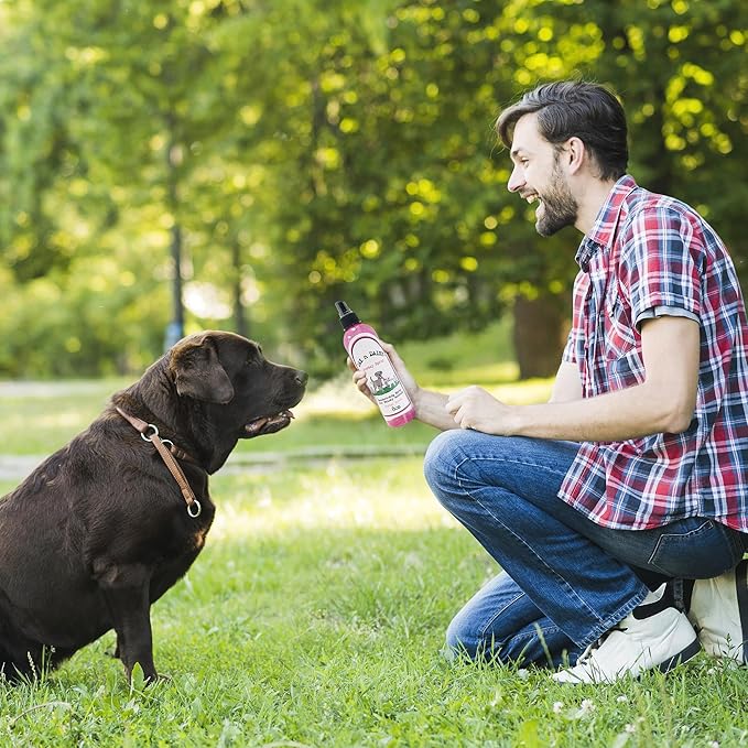 Jax N Daisy Dog Bootay Spray pet Perfume Spray for Dog s Bottom Hygiene Odor Control Refreshing Deodorizing for Smelly Dogs Long Lasting All Natural Ideal for All Breeds