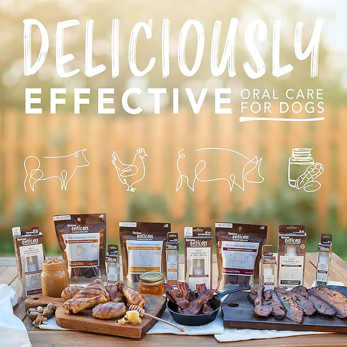 TropiClean Enticers Dog Teeth Cleaning Treat Gel | Smoked Bacon Flavored Dog Toothpaste Alternative| 2 oz
