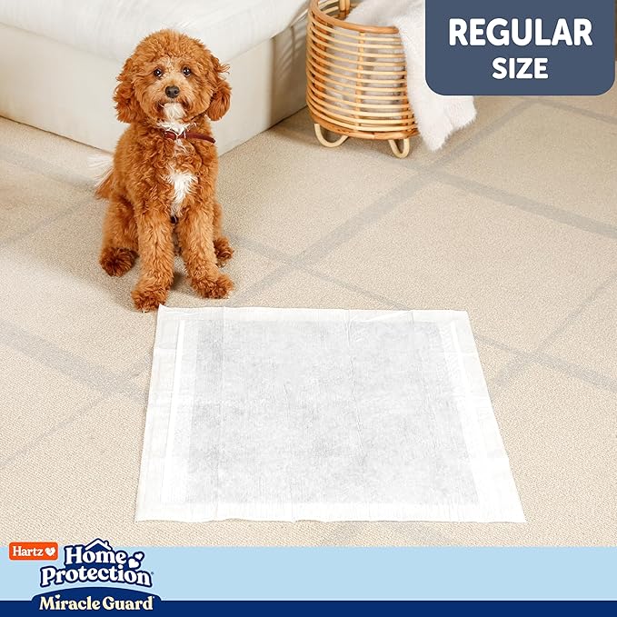 New! Hartz Home Protection Miracle Guard Dog Pads, Regular Size 50 Count, 3X Absorbency & 3X Longer use, Won't Leak and Odor Eliminating
