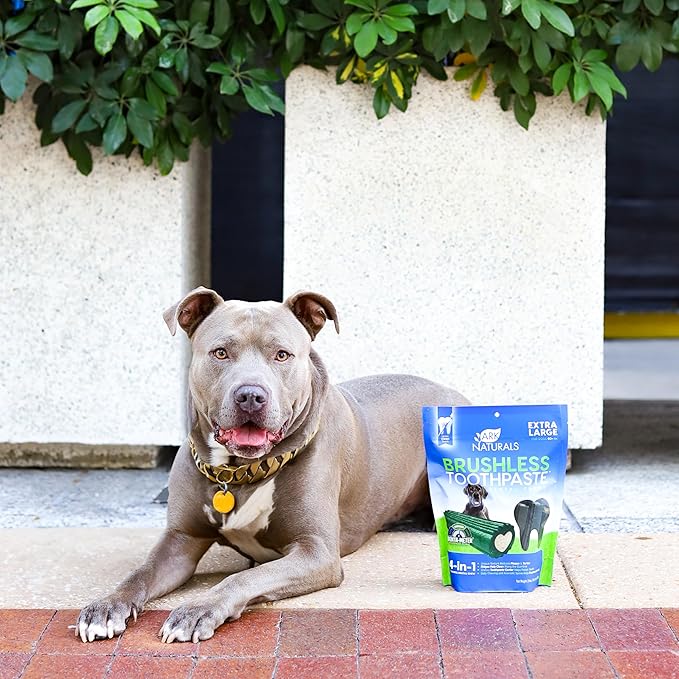 Ark Naturals Brushless Toothpaste, Dog Dental Chews for Extra Large Breeds, Freshens Breath, Unique Texture Helps Reduce Plaque & Tartar, 24oz (Pack of 6)