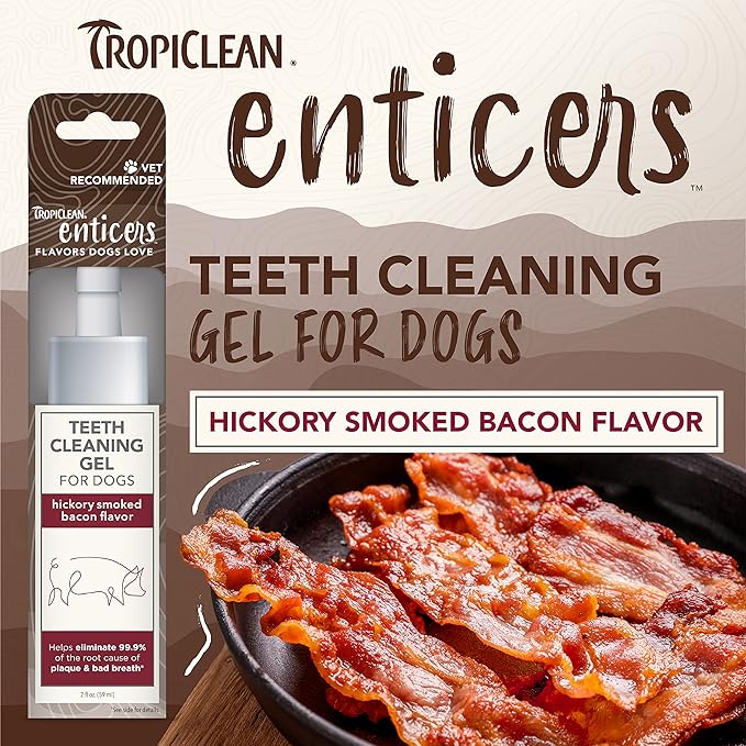 TropiClean Enticers Dog Teeth Cleaning Treat Gel | Smoked Bacon Flavored Dog Toothpaste Alternative| 2 oz