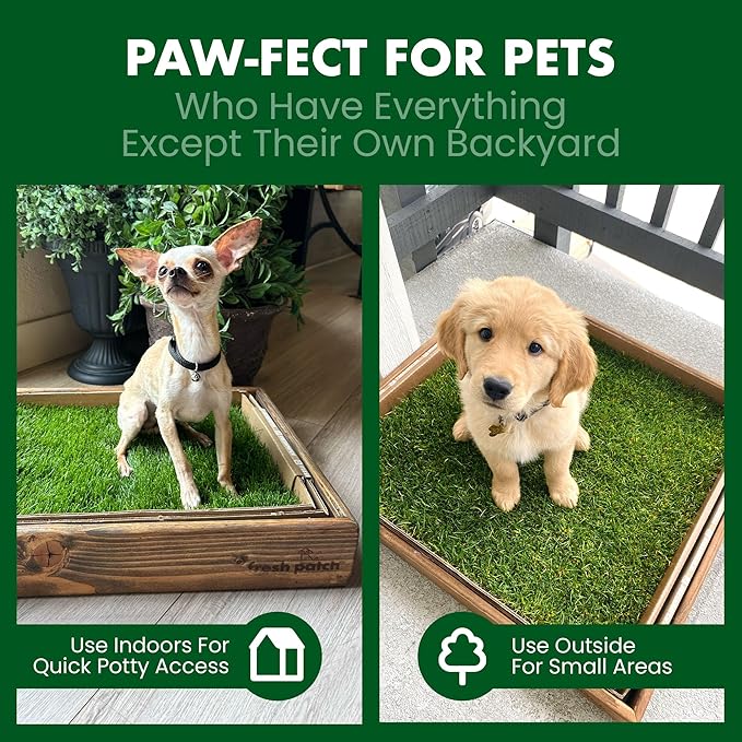 Fresh Patch Real Grass Patch for Dogs, Cats, and Extra Large Pets 30 Pounds and Above – Disposable Pet Grass Pee Pads – Indoor and Outdoor Potty Training Mat (24 Inches x 48 Inches)