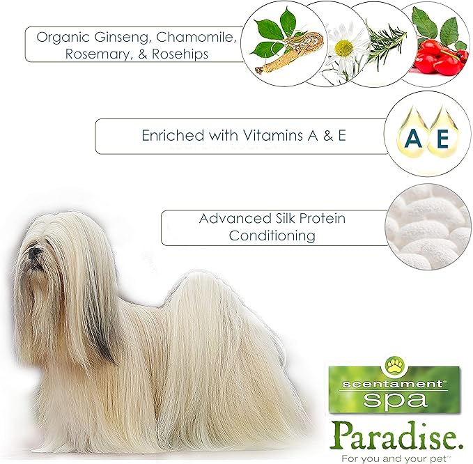 Best Shot Scentament Spa Botanical Body Splash, Detangler Spray, Body Spray for Pets, Cat and Dog Cologne Spray, Mango Maui, 8 Oz.