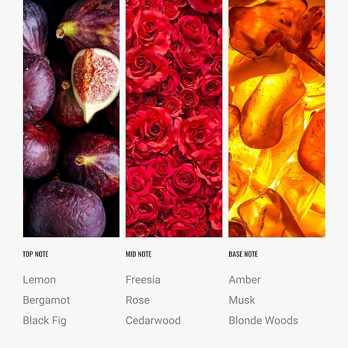 Hotel Collection Diffuser Oil - Black Velvet - Aromatherapy Essential Fragrance Oil - Blonde Woods, Rose, and Black Fig - 120ML 4.1 Fl oz