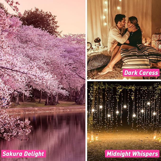 Fragrance Oils, ESSLUX Bath & Body Scented Essential Oils for Diffusers for Home, Premium Soap Candle Making Scents, Aromatherapy Oils Gift Set,10ml*6 - Coconut Fresh, Minty Eucalyptus, and More