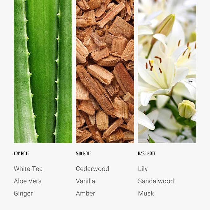 Hotel Collection Diffuser Oil - Dream On - Aromatherapy Essential Fragrance Oil - Bright White Tea, Sweet Vanilla, & Earthy Cedar - 50ML 1.7 Fl oz