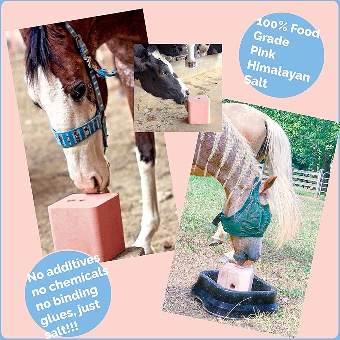 Himalayan Secrets Compressed Pink Salt Lick for Livestock and Wildlife Animals, Pure & Natural Feed Salt Block, Minerals & Trace Elements, No Additives, 22LB (10KG)