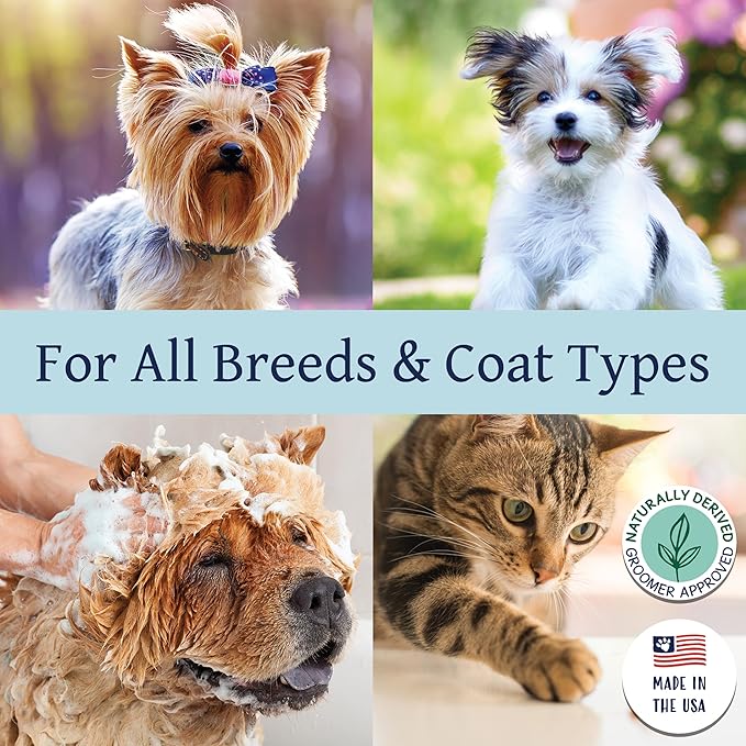 Bobbi Panter Moisturizing Dog Shampoo, Moisturizes and Enriches Dogs Skin & Fur, Soft Sea Air Fragrance, Concentrated 30:1, Made in The USA, 14 oz. (Case of 12)