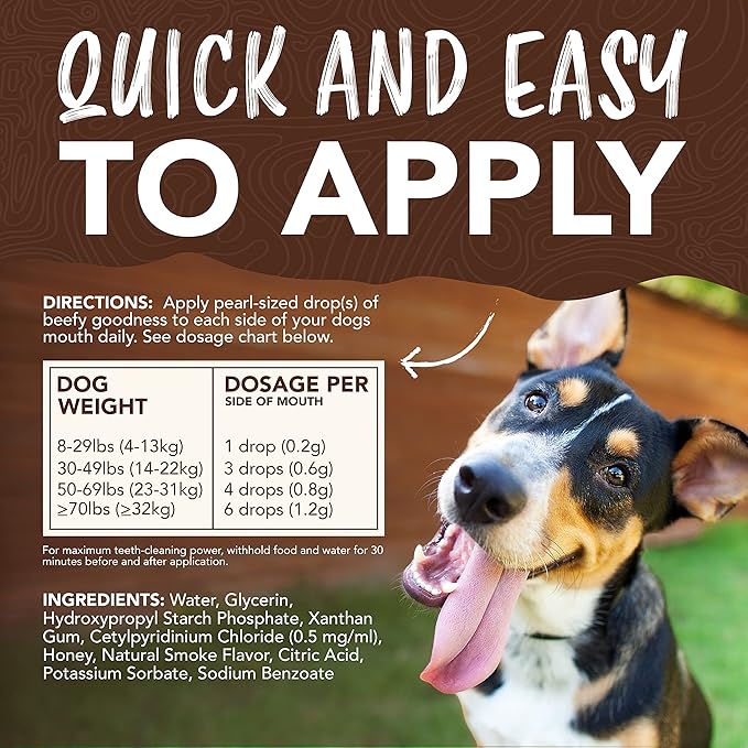 TropiClean Enticers Dog Teeth Cleaning Treat Gel | Smoked Beef Flavored Dog Toothpaste Alternative | 4 oz.