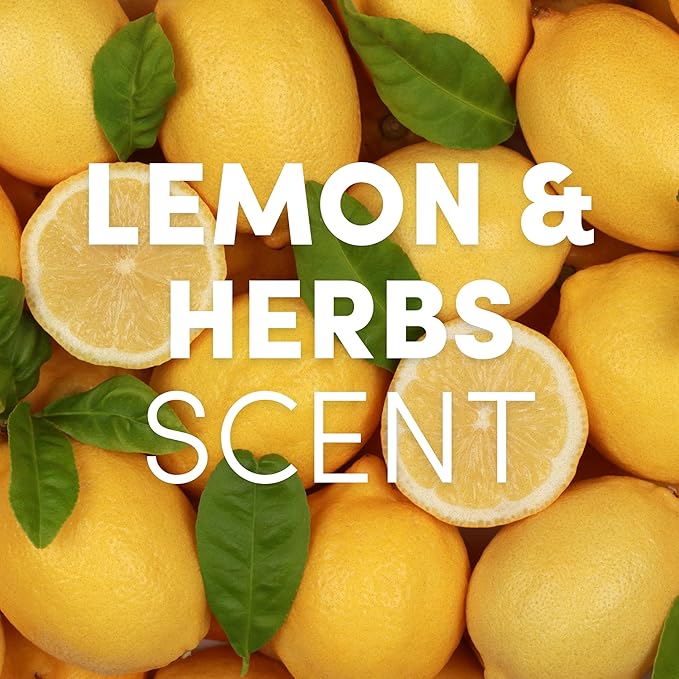 Clean Revolution SuperCharged Multi Surface Cleaner Refill Supply, Non-Toxic, Eco-Friendly & Plant-Based, Ready to Use, Lemon & Herbs, 18 oz (Pack of 1)