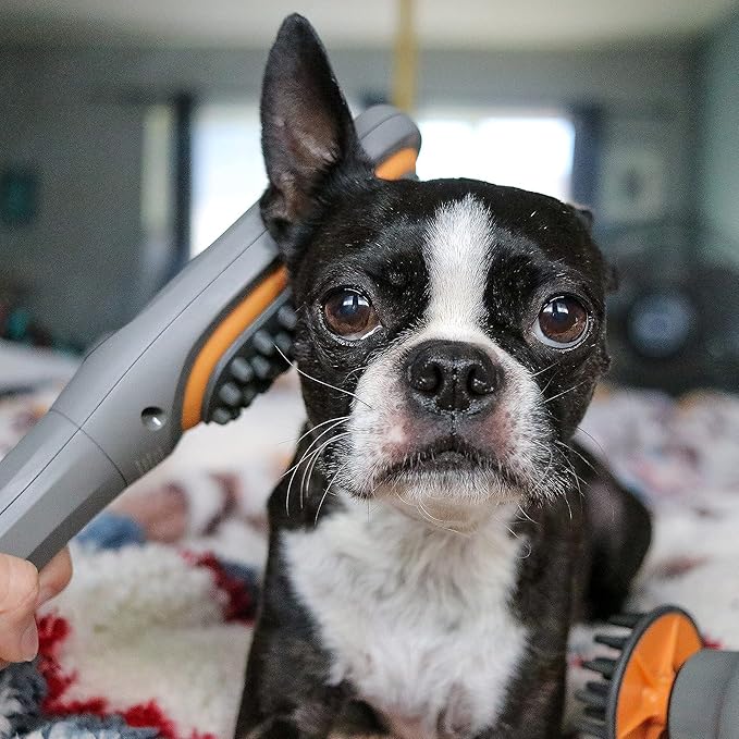 Buzz Therapeutic Brush Vibration Pet Massager for Dogs and Cats Designed to Help Soothe Tension, Increase Circulation and Relieve Tight Muscles