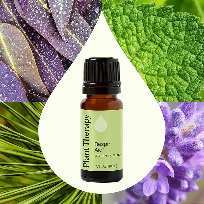 Plant Therapy Respir Aid Essential Oil Blend 10 mL (1/3 oz) Sinus, Airway and Congestion Clearing Oil Blend, 100% Pure, Undiluted, Natural Aromatherapy, Therapeutic Grade