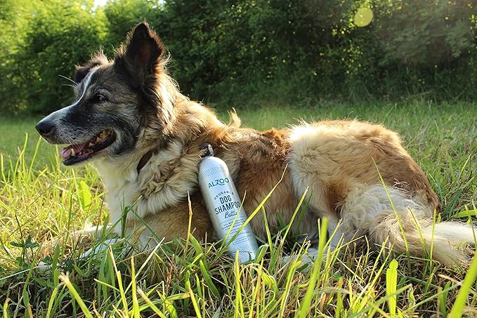 ALZOO Reusable, Refillable Shampoo Bottle for Dogs, Fill with Water & Concentrated Shampoo Powder, Recyclable Aluminum, Holds 16 Fl. Oz.