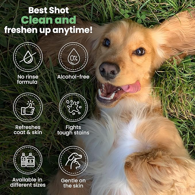 Best Shot One Shot Dry Clean Spray, Alcohol-Free Formula, Waterless Shampoo Spray for Pets, Safe for Dogs, Cats, and Horses, 16 Oz.