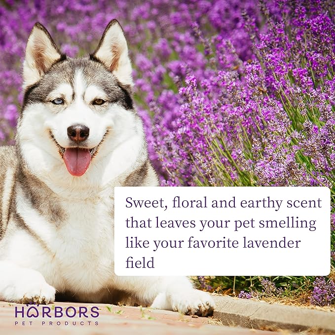 Harbor's Pet Cologne (Lavender)