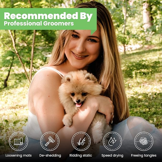 Best Shot One Shot Dry Clean Spray, Alcohol-Free Formula, Waterless Shampoo Spray for Pets, Safe for Dogs, Cats, and Horses, 16 Oz.