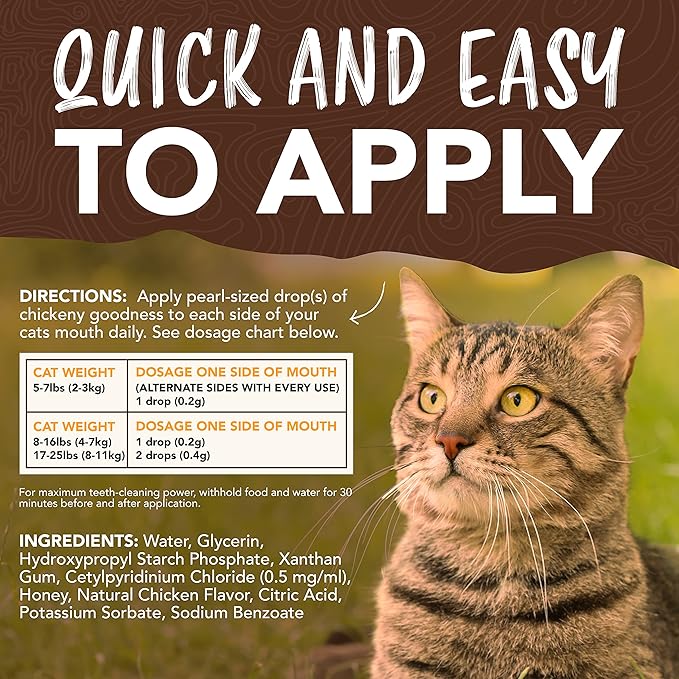 TropiClean Enticers Cat Teeth Cleaning Treat Gel | Honey Chicken Flavored Cat Toothpaste Alternative | 2 oz