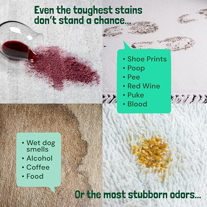 Sunny & Honey Carpet Shampoo & Cleaning Solution - 32 Fl Oz Spring Mint Scent - Pet Carpet Cleaner Machine Solution - Rug & Upholstery Cleaner - Stain Remover & Odor Deodorizer