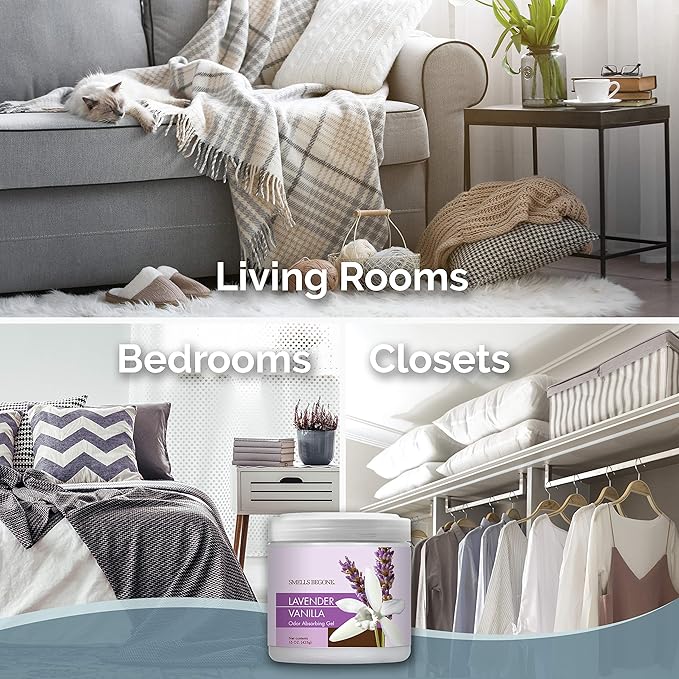 SMELLS BEGONE Air Freshener Odor Absorber Gel - 15 oz, Pack of 2 - Absorbs and Eliminates Odor in Pet Areas, Bathrooms, Cars, & Boats - Made with Essential Oils - Lavender Vanilla Scent