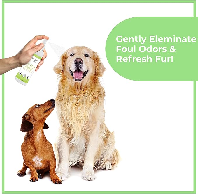 Dog Deodorizing Spray – Long-Lasting Dog Cologne & Pet Odor Eliminator – Cucumber Melon Scented Dog Perfume for Smelly Dogs – Safe, Refreshing Dog Grooming Spray