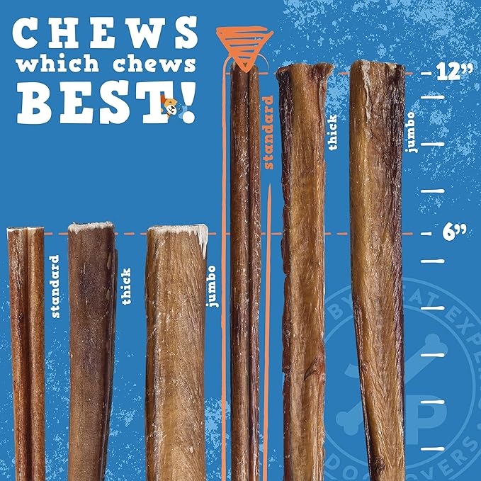 Jack&Pup 12-inch Premium Grade Odor Free Bully Sticks Dog Treats (18 Pack) 12” Long All Natural Gourmet Dog Treat Chews Fresh and Savory Beef Flavor – Long Lasting Treat