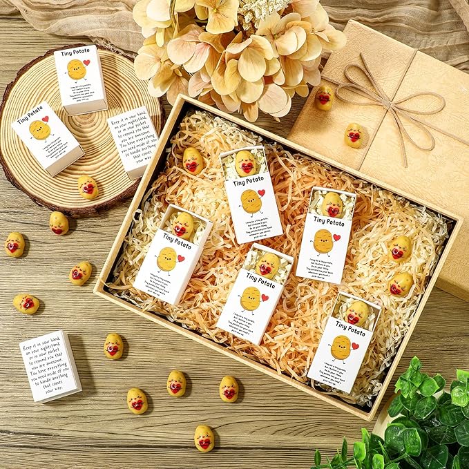 25 Set Employee Appreciation Gifts Bulk Coworkers Thank You Desk Pets Holiday Small Cute Emotional Support Resin Ornaments Card Box for Women Men Adults Office (Heart Potato)