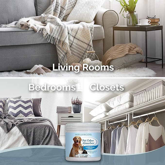 SMELLS BEGONE Air Freshener Pet Odor Absorber Gel - 15 oz, Pack of 2 - Absorbs and Eliminates Odor in Pet Areas, Bathrooms, Cars, & Boats - Made with Essential Oils - Soothing Breeze Scent