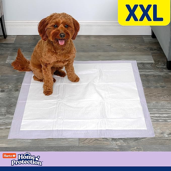 Hartz Home Protection Lavender Scented Dog Pads, XXL 80 Count, Super Absorbent & Won't Leak, Odor Eliminating