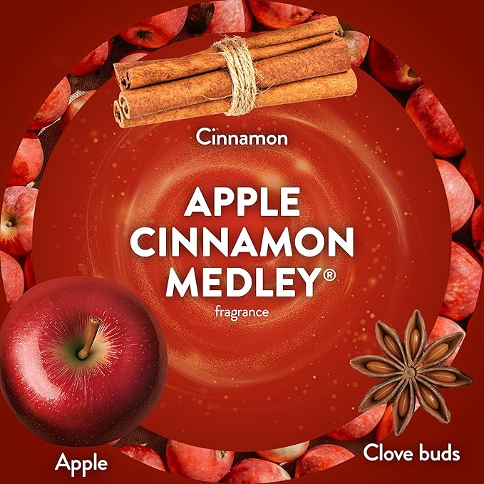 Air Wick Plug In Scented Oil Refill, Infused with Essential Oils, Plug In Air Fresheners for Home, Fall Scent, Fall Décor, Apple Cinnamon Medley, 4 ct